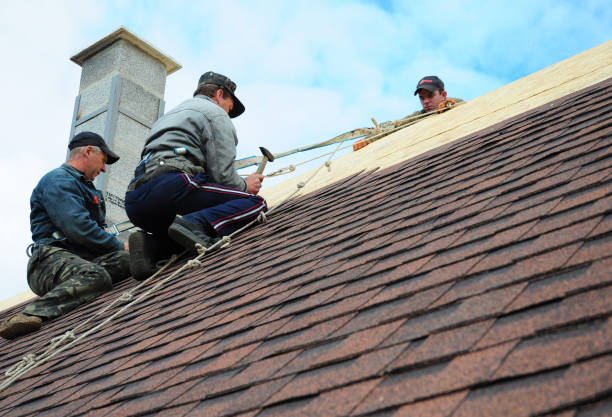 Best Local Roofing Companies  in Morrisonville, NY